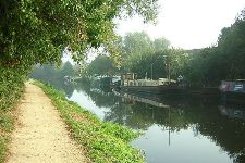 The River Cam